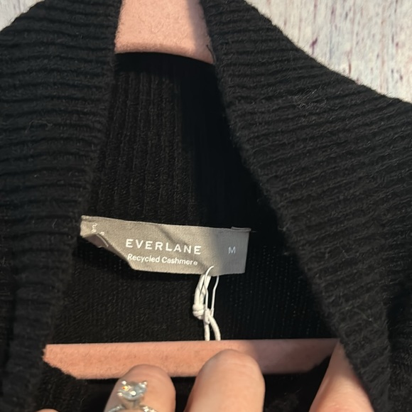 NWT Everlane The Cashmere Oversized Turtleneck - Picture 8 of 13
